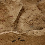 Cueva De Las Manos (28)