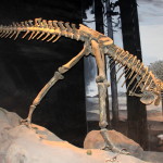 Dinossauro da Era Mesozoica