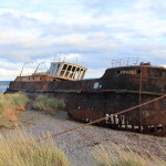Punta Arenas (11)