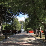 Punta Arenas (20)