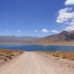 Deserto do Atacama (179)