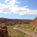 Deserto do Atacama (244)