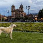 Plaza de armas Cusco-9817