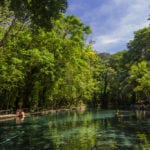 Ojo de agua Ilha de Ometepe Nicaragua-0435