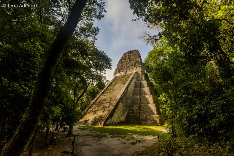 Tikal, um dos sítios arqueológicos mais importantes do mundo