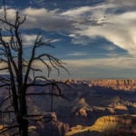 Grand Canyon – Arizona-2444