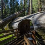 Sequoia National Park-1180