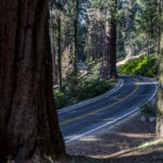Sequoia National Park-2089