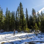 Jasper National Park – Canada-4529