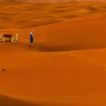 Deserto do Saara – Marrocos-4299