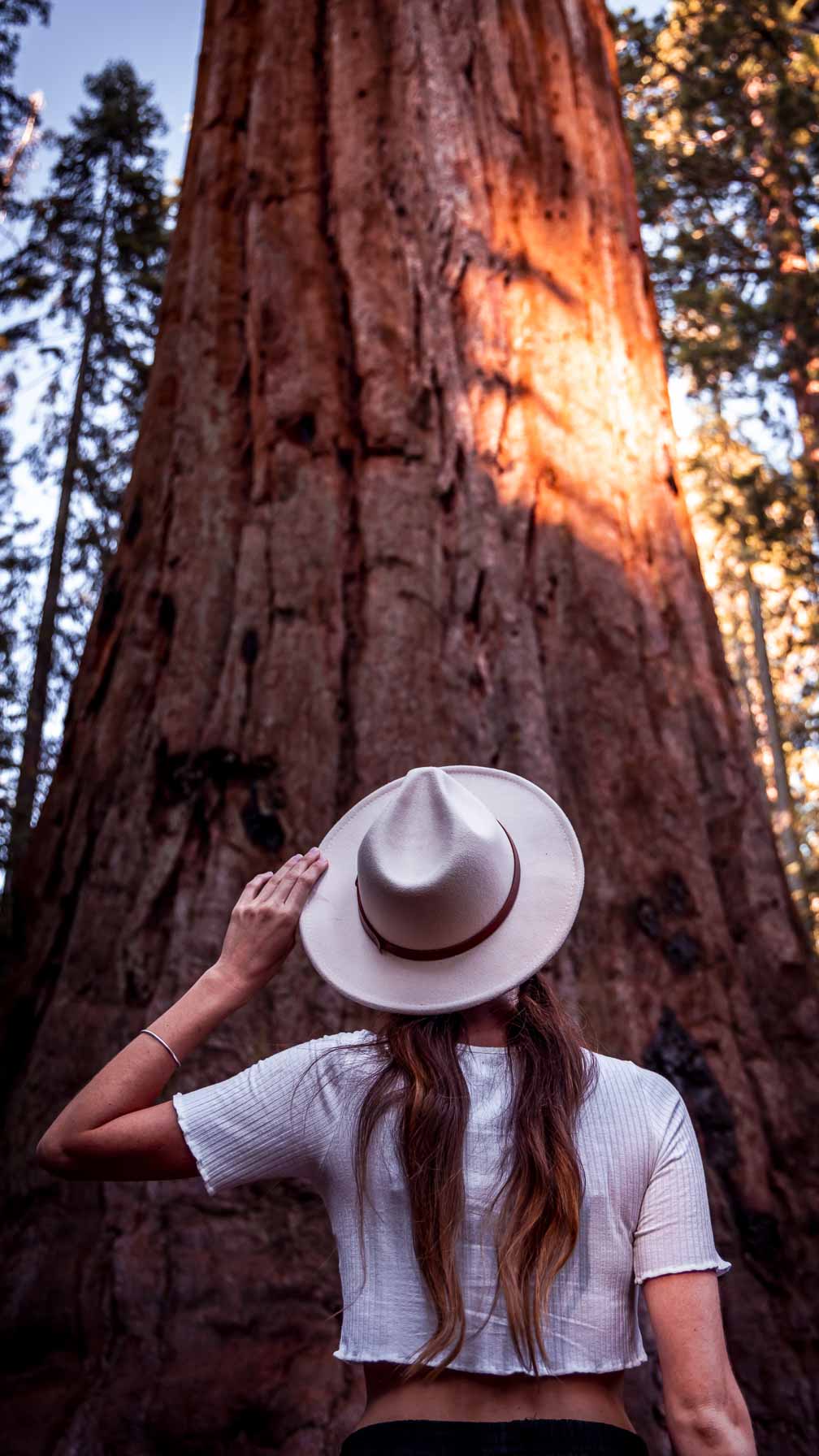 Parque Sequoias Estados Unidos-11
