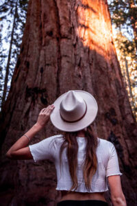 Parque Sequoias Estados Unidos